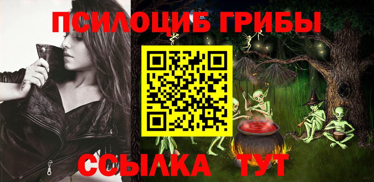 Ефремов  Псилоцибиновые грибы Psilocybe  Псилоцибиновые грибы Magic Shrooms  Вход с VPN 